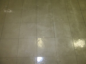 戸田クリーン床剥離清掃前写真１